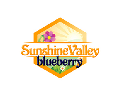 Sunshine Valley- Hotel and restaurant best logo design